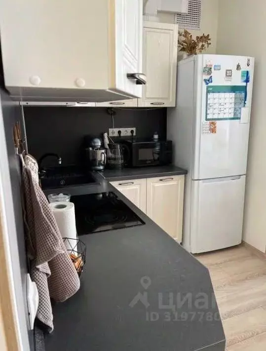 Студия Белгородская область, Белгород Новая жизнь мкр,  (27.0 м) - Фото 1