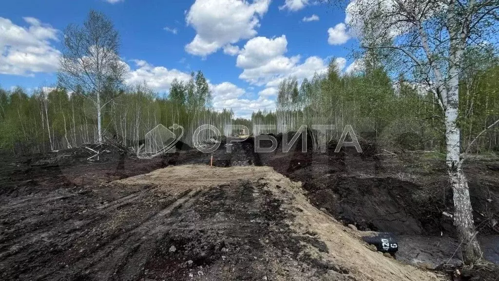 Участок 6,4 сот. (СНТ, ДНП) - Фото 1
