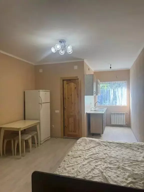 Дом в Краснодарский край, Сочи городской округ, с. Молдовка ул. ... - Фото 1