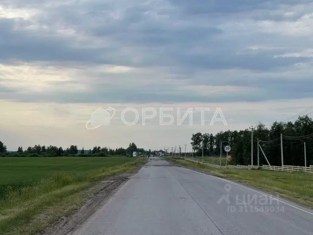 Участок в Тюменская область, Тюменский район, д. Малиновка, Малиновка ... - Фото 2