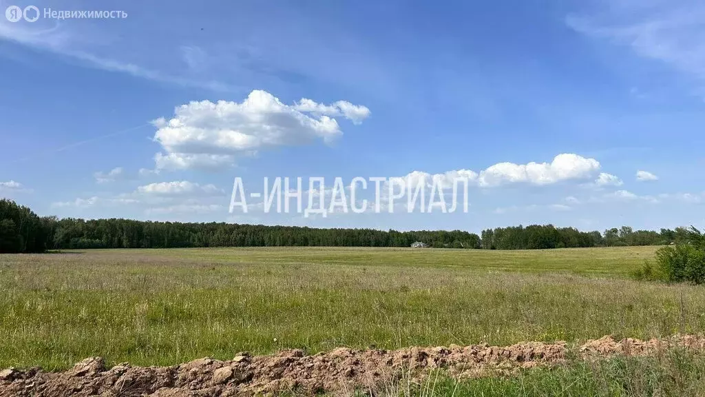 Участок в Московская область, городской округ Подольск, СНТ Приозёрье, ... - Фото 2