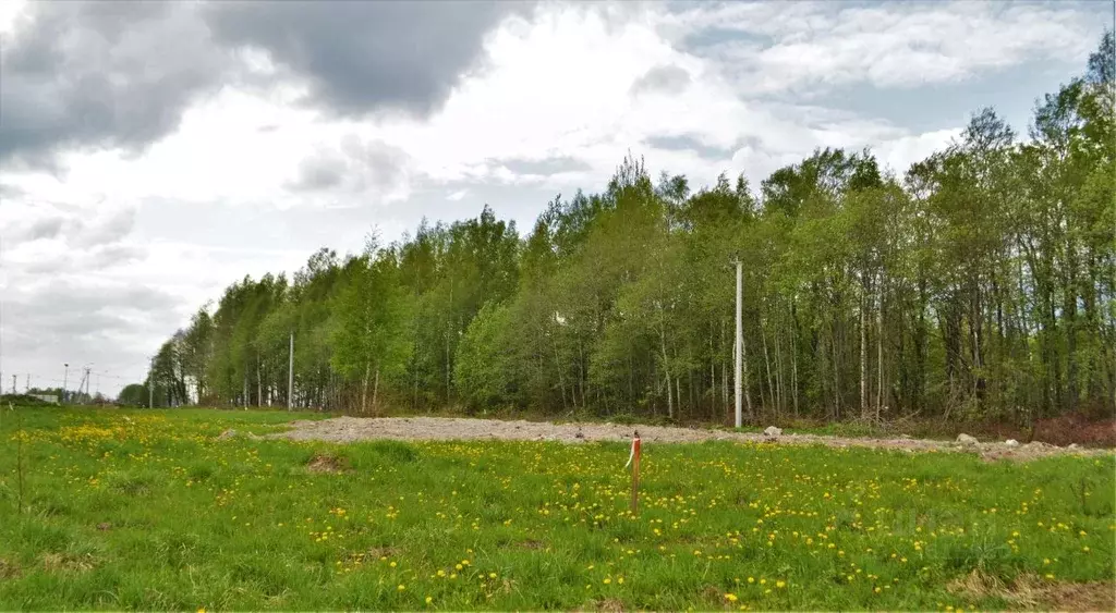 Участок в Ленинградская область, Всеволожский район, Агалатовское ... - Фото 1