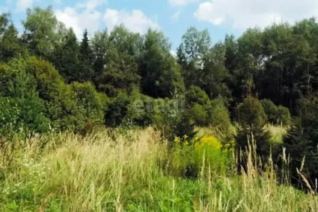 Участок в Волгоградская область, Среднеахтубинский район, Клетское ... - Фото 2