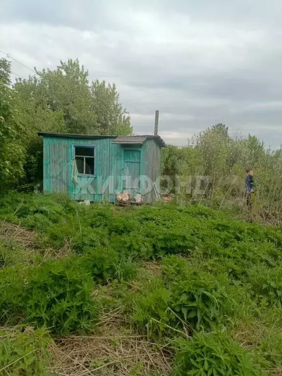 Участок 6 сот. (СНТ, ДНП) - Фото 0