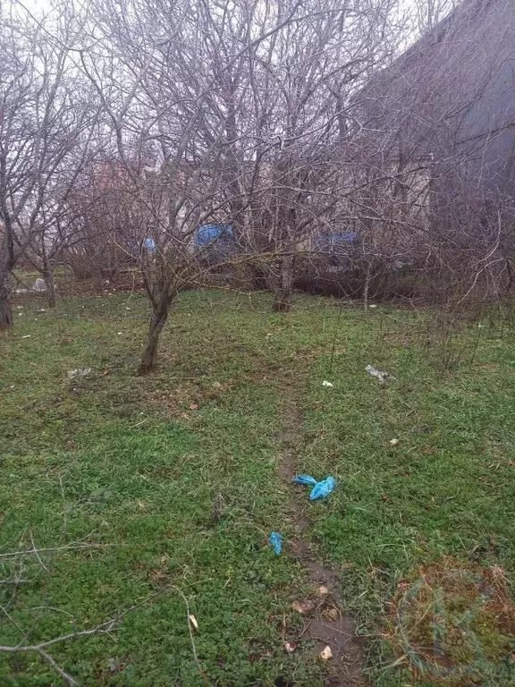 Участок в Крым, Симферопольский район, Перовское с/пос, Радуга ... - Фото 2