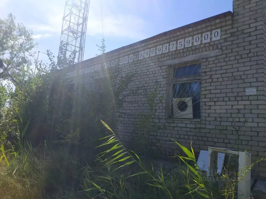 Помещение свободного назначения в Астраханская область, Знаменск ул. ... - Фото 1