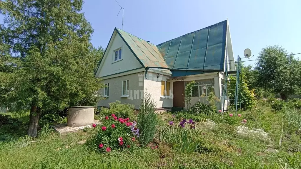 Дом в Воронежская область, Новоусманский район, Рождественско-Хавское ... - Фото 0