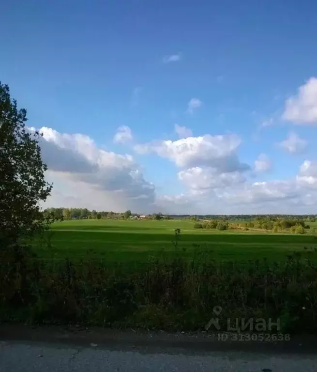 Участок в Вологодская область, Шекснинский район, Сиземское с/пос, д. ... - Фото 0