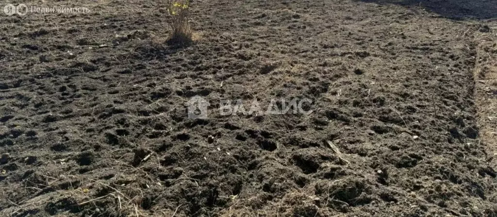 Участок в Иркутский муниципальный округ, СНТ Экспериментальный, ... - Фото 2