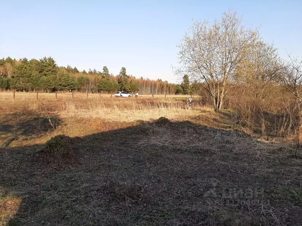 Участок в Московская область, Богородский городской округ, д. Дядькино ... - Фото 0