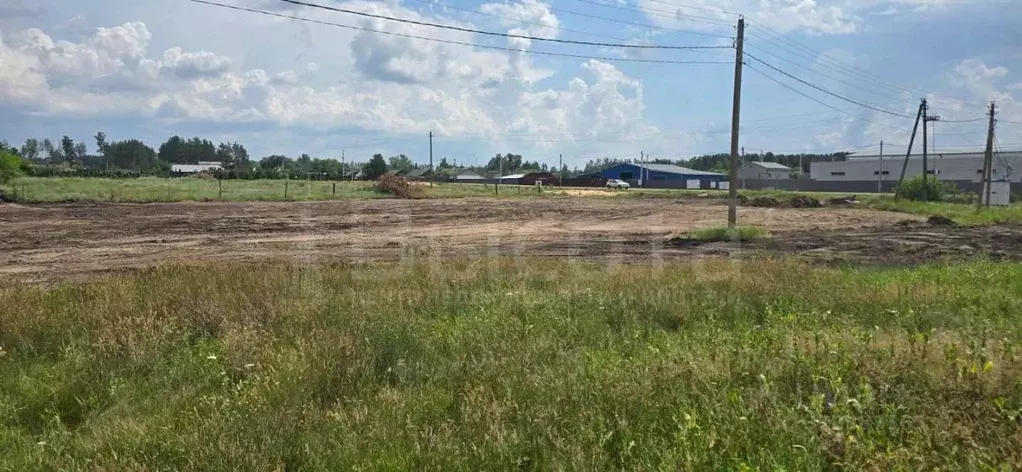 Участок в Воронежская область, Рамонский район, Новоживотинновское ... - Фото 2