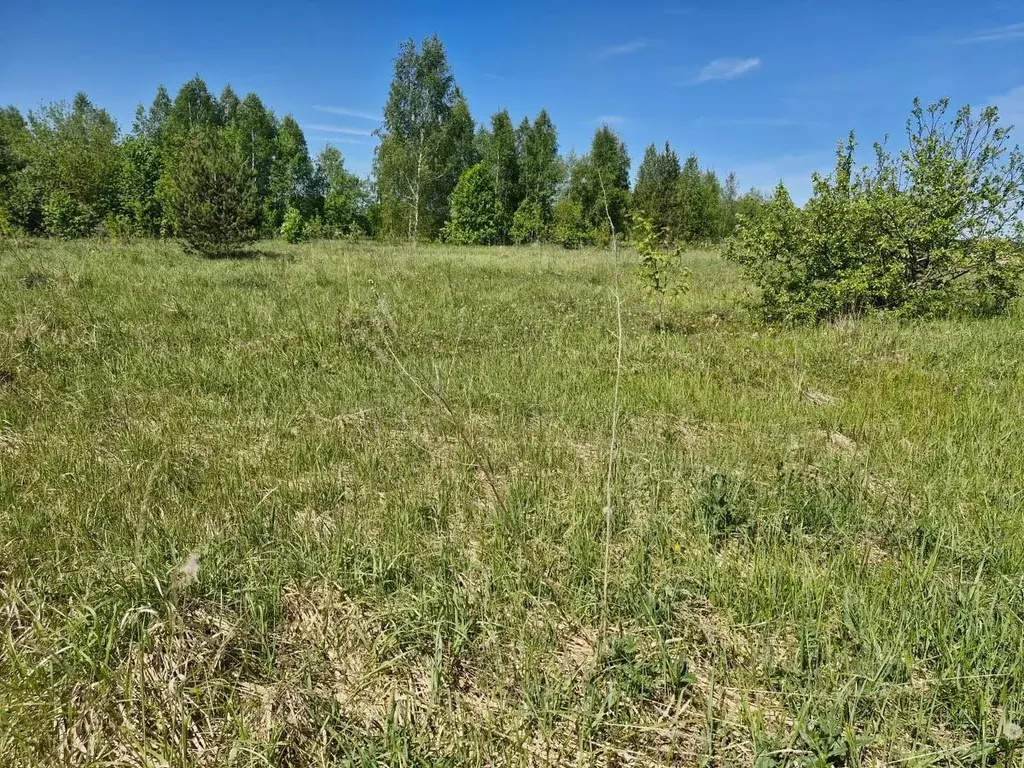 Участок в Московская область, Ступино городской округ, с. Хонятино ул. ... - Фото 0