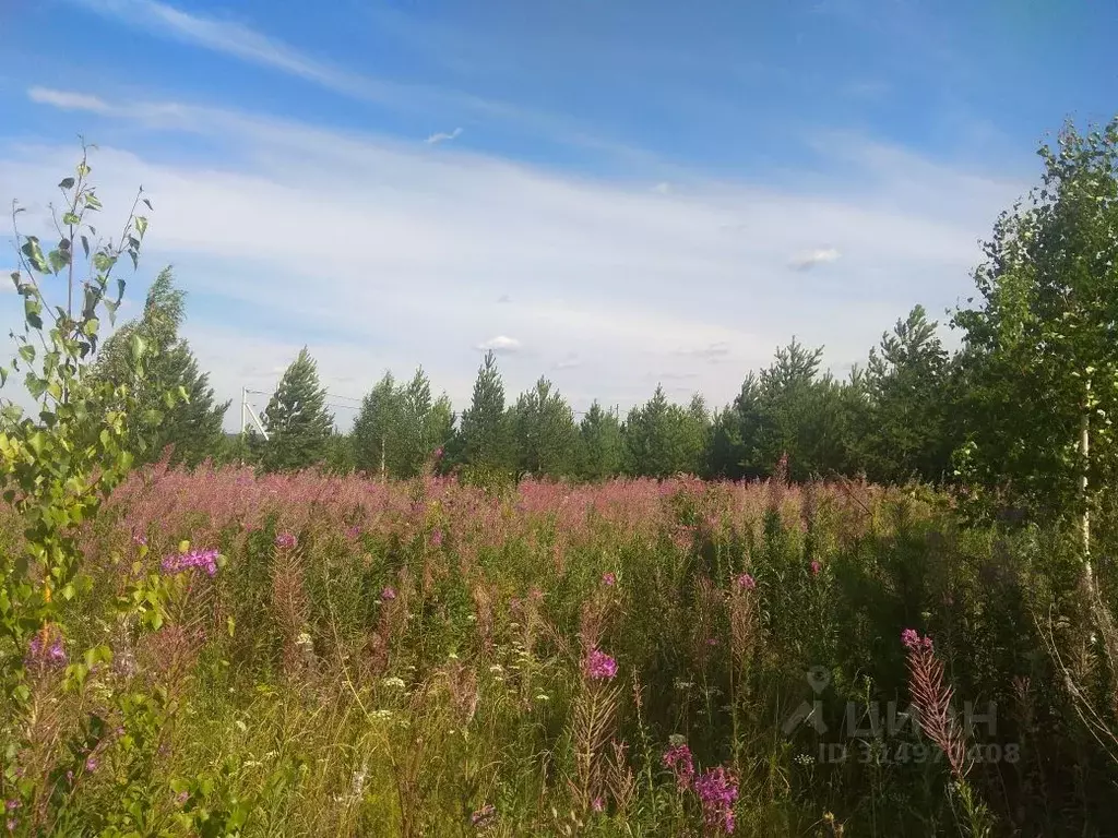 Участок в Свердловская область, Сысертский муниципальный округ, пос. ... - Фото 1