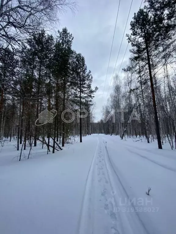 Участок в Тюменская область, Тюменский район, д. Елань 14 (8.0 сот.) - Фото 1