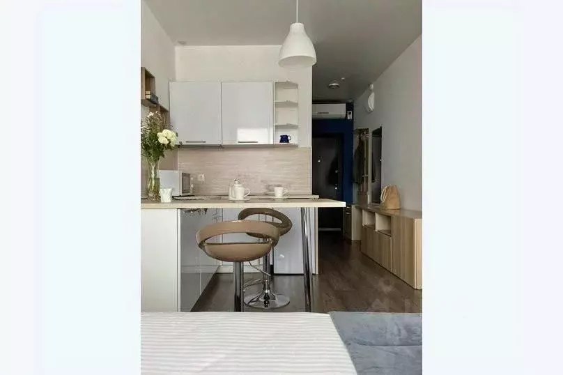 1-к кв. Свердловская область, Екатеринбург ул. Малышева, 42А (28.0 м) - Фото 2