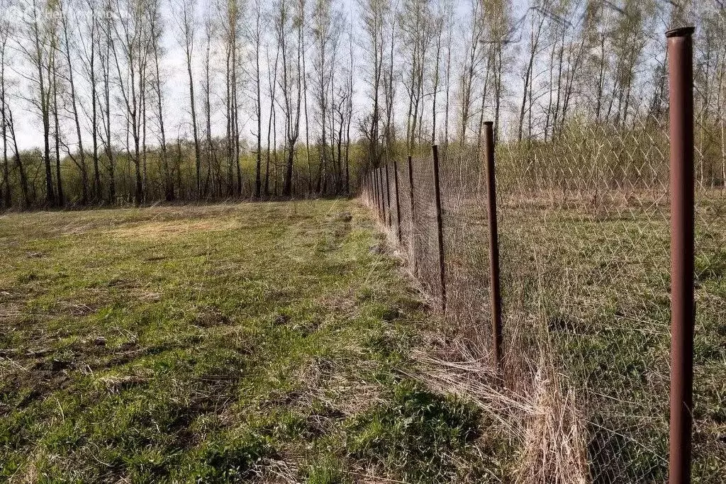 Участок в Воронеж, Союзная улица (6.54 м) - Фото 1