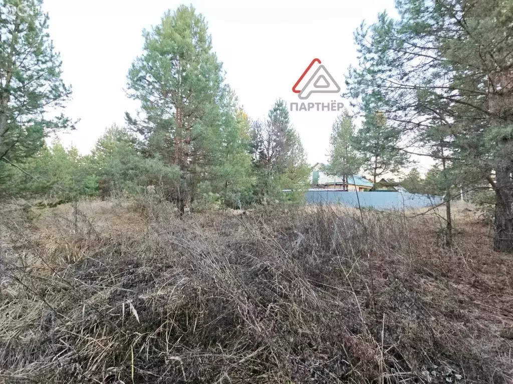 Участок в Мелекесский район, Старосахчинское сельское поселение, ... - Фото 2