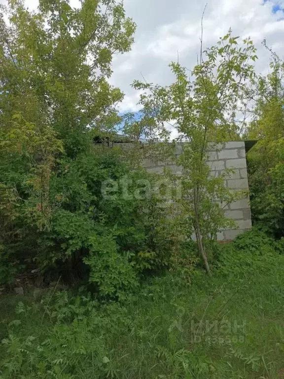 Производственное помещение в Белгородская область, Валуйский городской ... - Фото 1