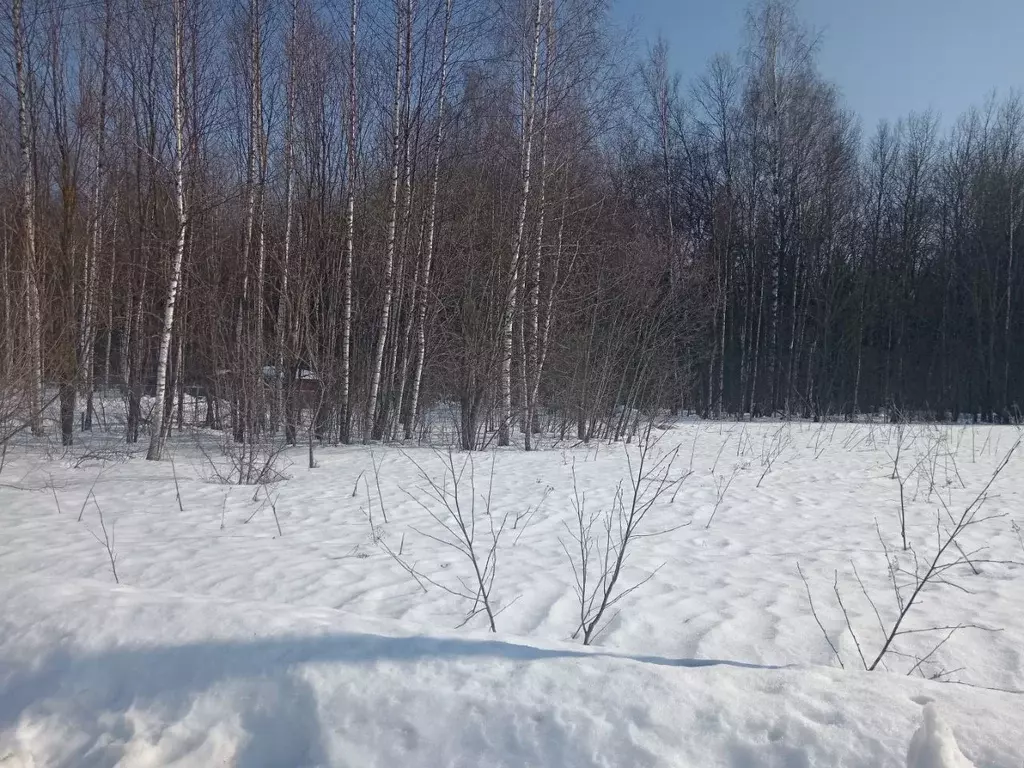 Участок в Ярославская область, Переславль-Залесский муниципальный ... - Фото 1