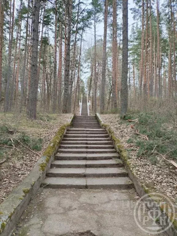 2-к кв. Ленинградская область, Выборгский район, Полянское с/пос, пос. ... - Фото 2