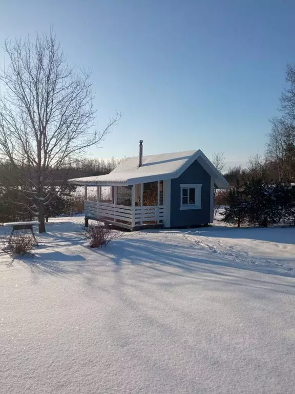 Дом в Псковская область, Гдовский район, Юшкинская волость, д. Речицы ... - Фото 2