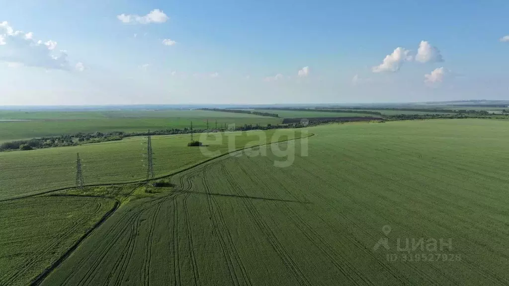 Участок в Алтайский край, Белокуриха Успенская ул. (2520.0 сот.) - Фото 1