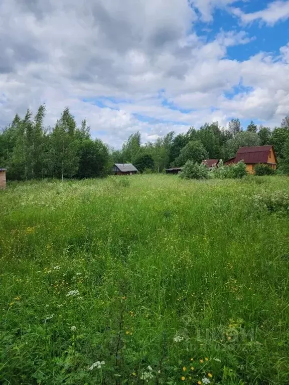 Участок в Ленинградская область, Кировский район, Мгинское городское ... - Фото 2