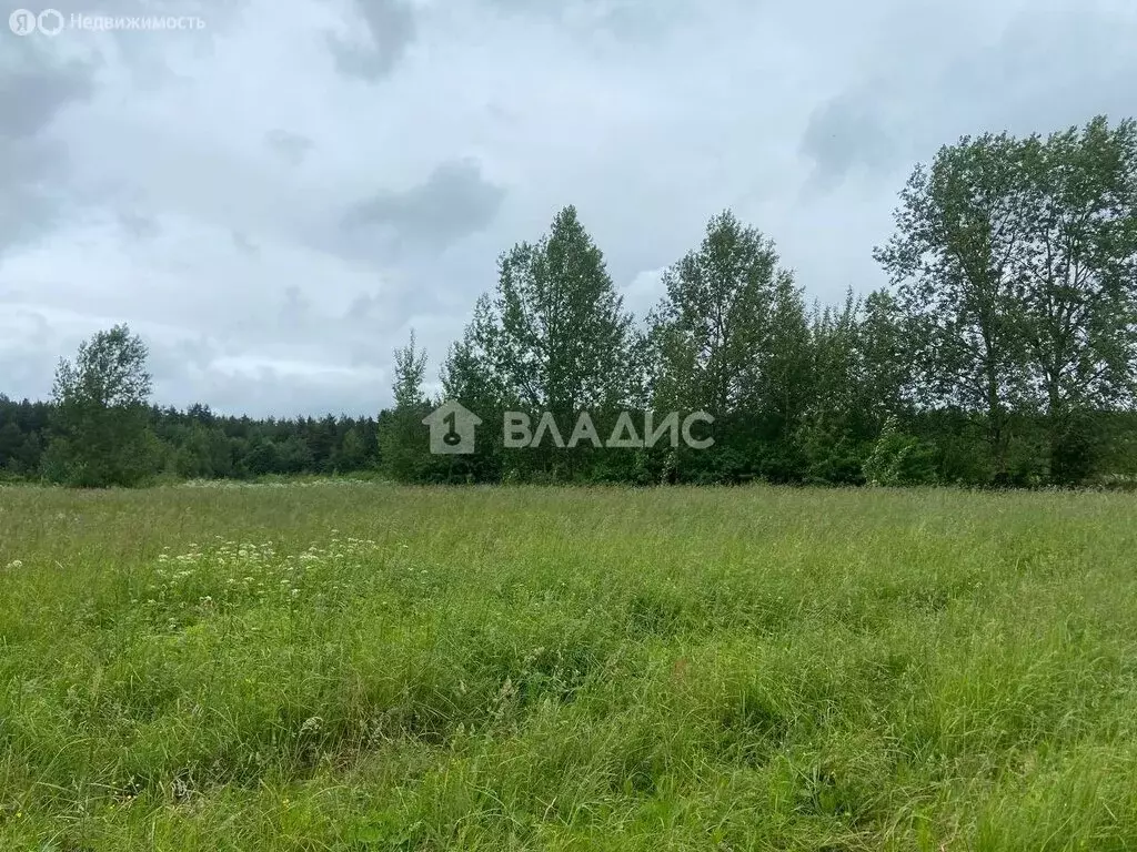 Участок в деревня Пустошка, 7 (11 м) - Фото 0