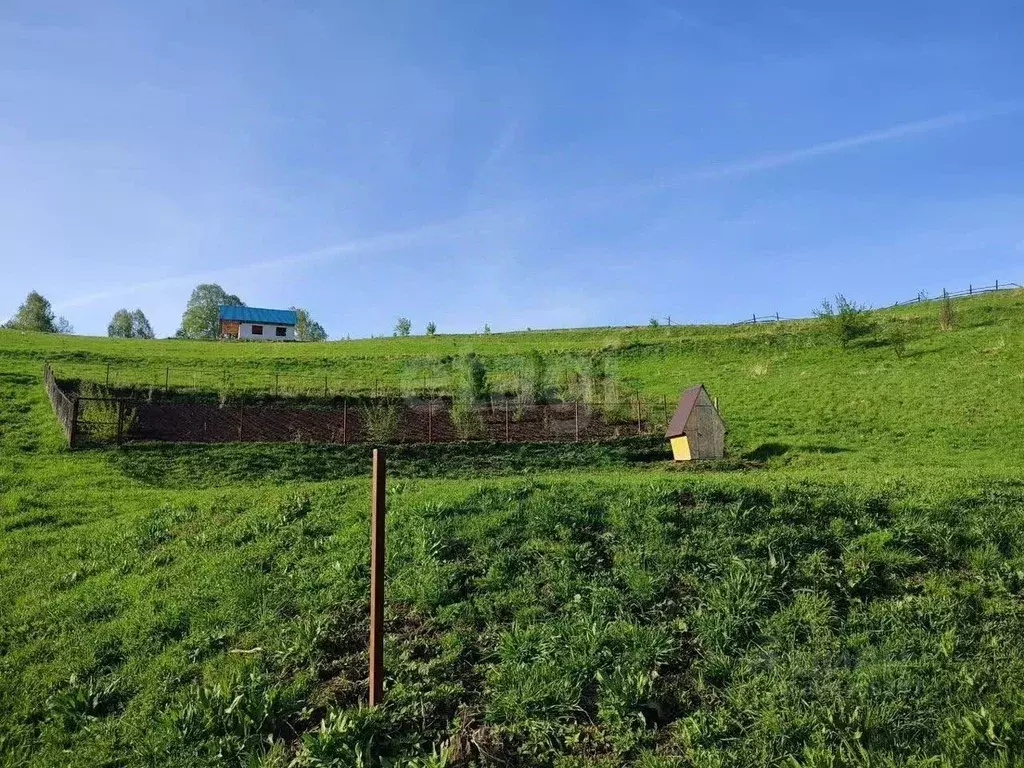 Участок в Алтай, Майминский район, с. Кызыл-Озек  (8.95 сот.) - Фото 2