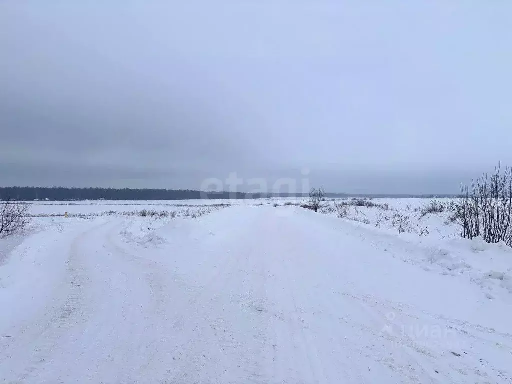 Участок в Кировская область, Слободской район, Шиховское с/пос, д. ... - Фото 1