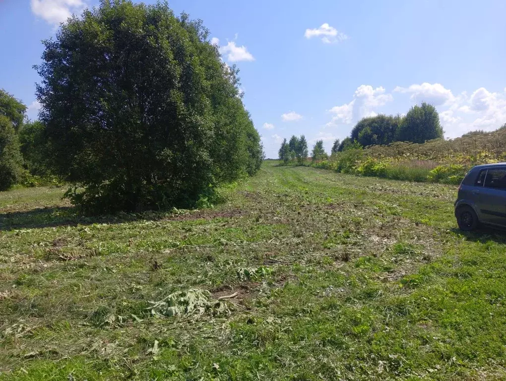 Участок в Калужская область, Малоярославецкий район, с. Детчино ул. ... - Фото 2