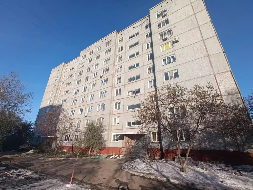 2-к кв. Омская область, Омск Омская ул., 156 (46.8 м) - Фото 1