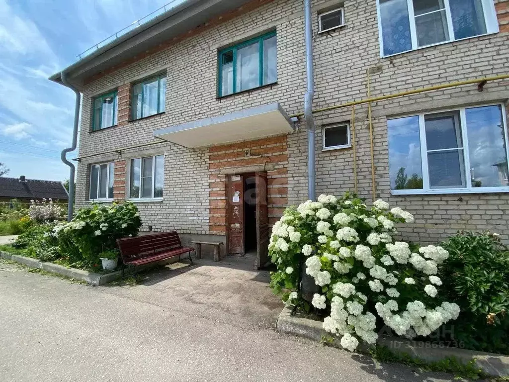 1-к кв. Псковская область, Порхов Пионерская ул., 20А (31.6 м) - Фото 1