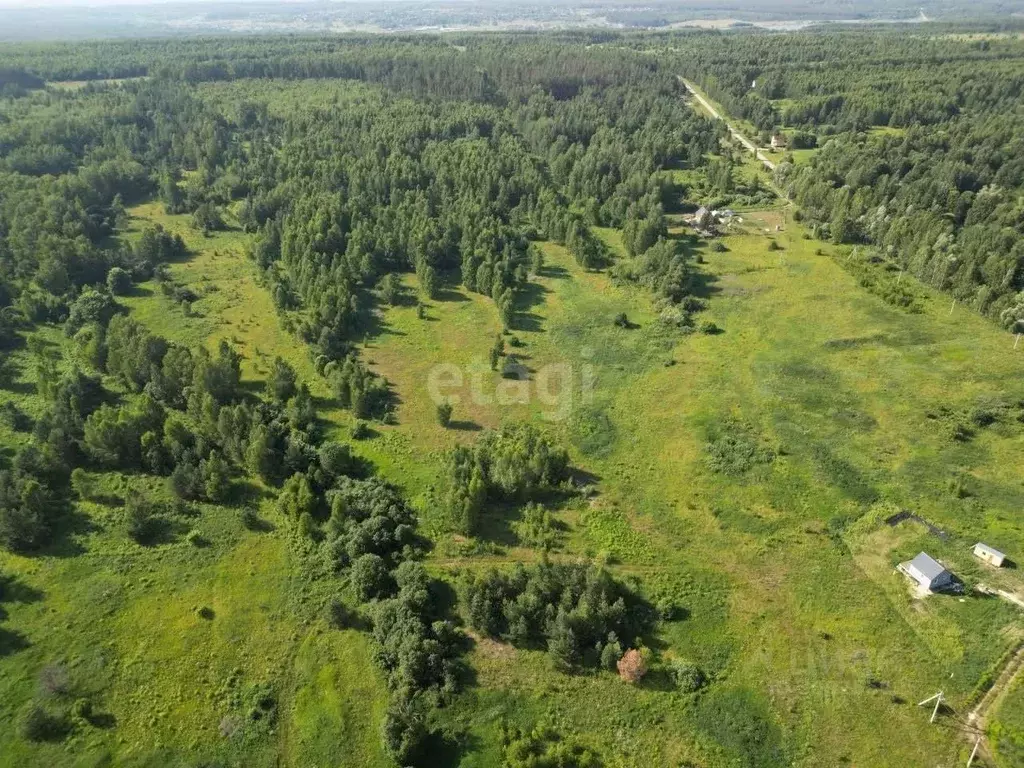 Участок в Нижегородская область, Богородский муниципальный округ, д. ... - Фото 1