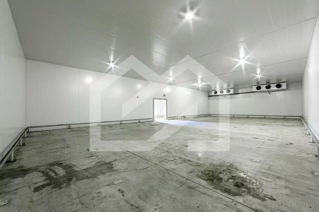 Производственное помещение в Московская область, Раменское ул. ... - Фото 1