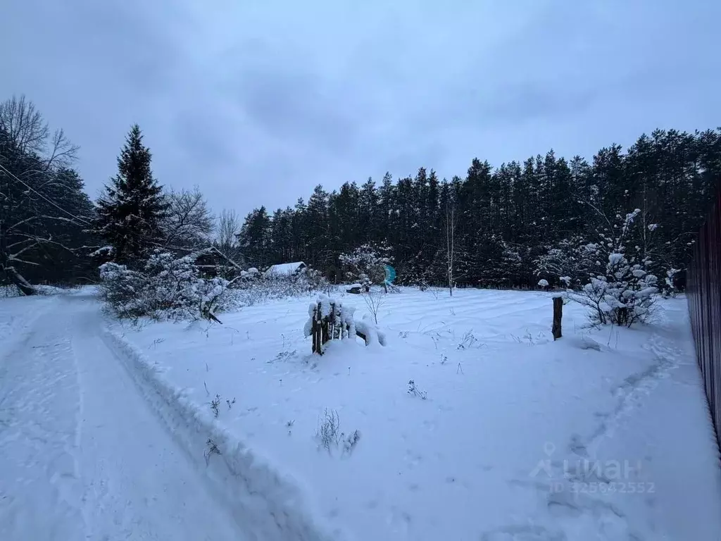 Участок в Брянская область, Выгоничский район, Хутор-Борское с/пос, ... - Фото 1