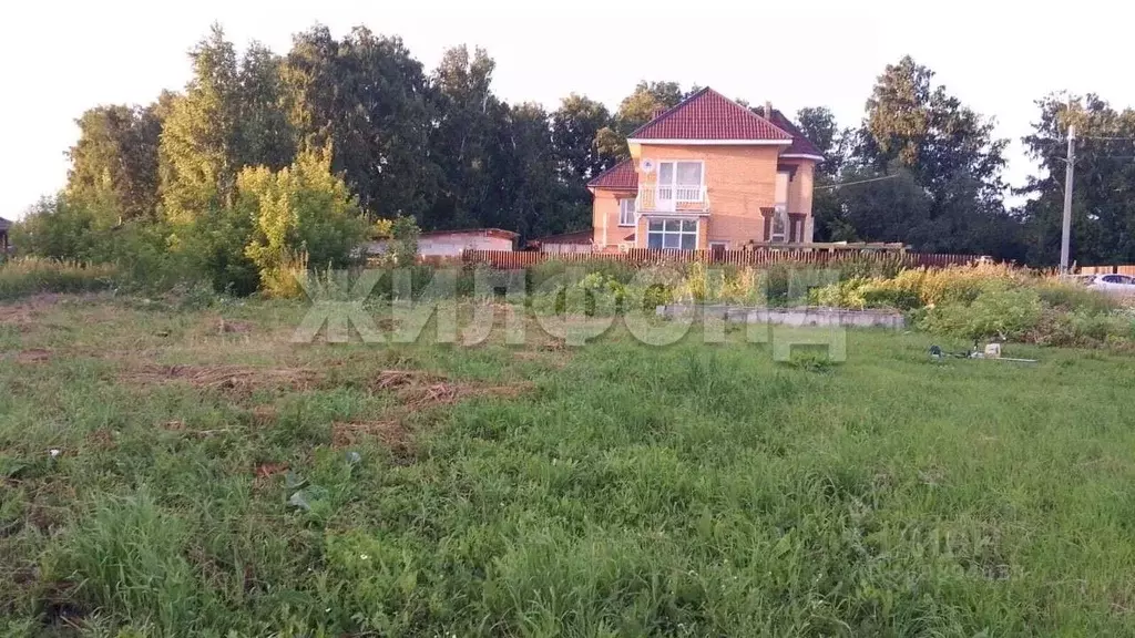 Участок в Новосибирская область, Новосибирский район, Станционный ... - Фото 1