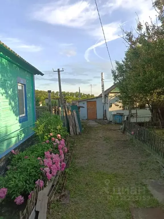 Дом в Воронежская область, Россошь Красноармейская ул., 125 (46 м) - Фото 2