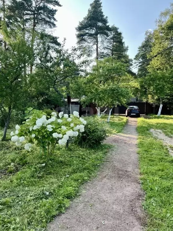 Дом в Ленинградская область, Всеволожск Николаевская ул., 12 (60 м) - Фото 1