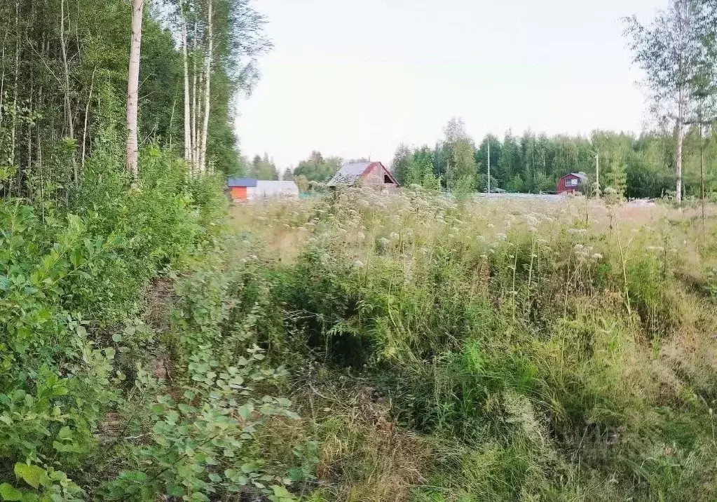 Участок в Ханты-Мансийский АО, Ханты-Мансийск Белка СОТ,  (12.0 сот.) - Фото 1