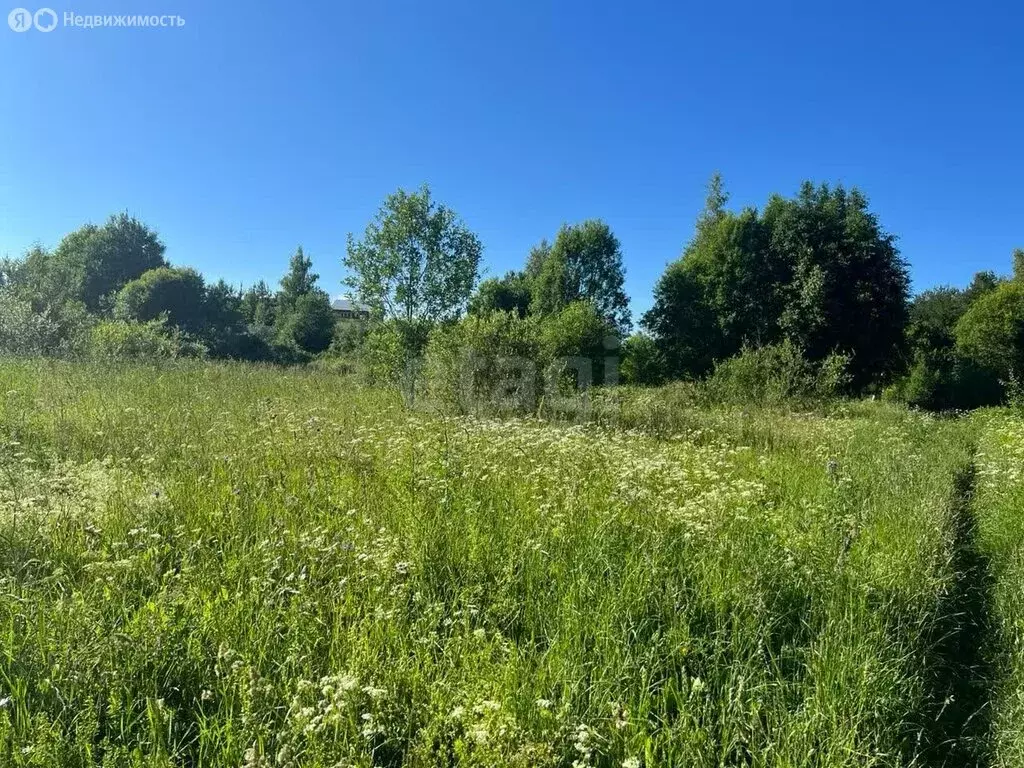 Участок в Куйвозовское сельское поселение, массив Екатериновка, ... - Фото 0