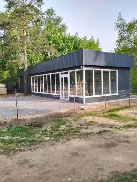 Торговая площадь в Московская область, Раменский муниципальный округ, ... - Фото 1