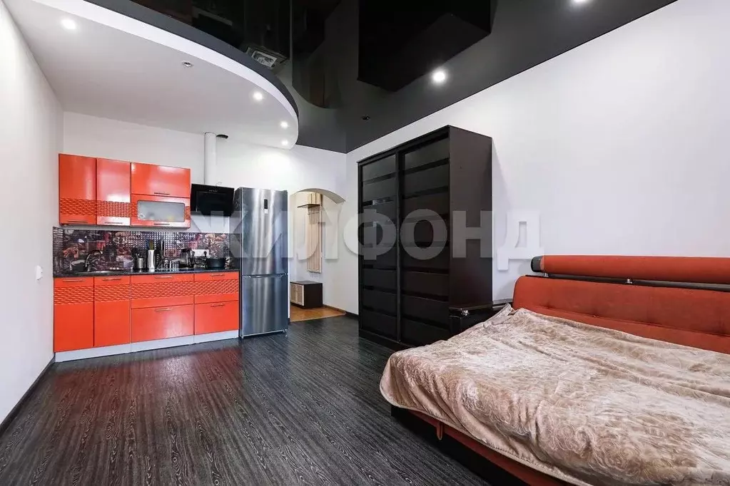 1-к кв. Новосибирская область, Новосибирск ул. Виктора Уса, 4 (28.1 м) - Фото 1