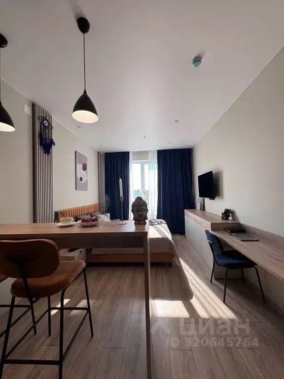 Студия Санкт-Петербург просп. Энергетиков, 8к2 (25.0 м) - Фото 2