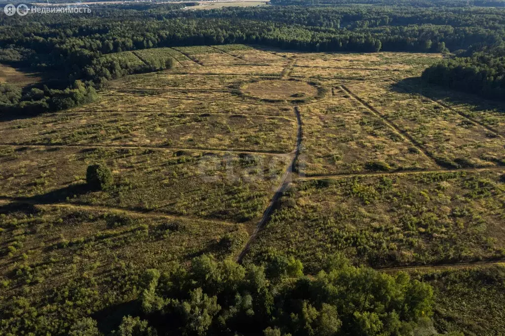 Участок в деревня Инино, микрорайон Родное Поле (684100 м) - Фото 1