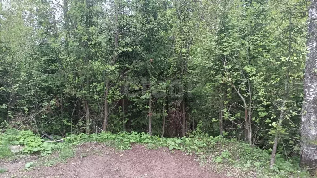 Участок в Златоуст, СНТ Швейник (8.5 м) - Фото 1