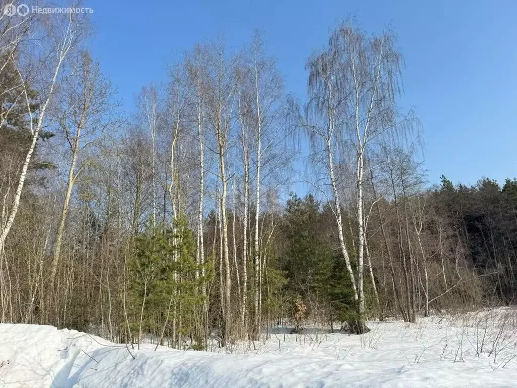 Участок в Московская область, Раменский муниципальный округ, КП ... - Фото 2