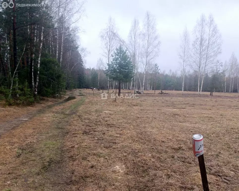 Участок в Владимирская область, Судогодский муниципальный округ, село ... - Фото 1