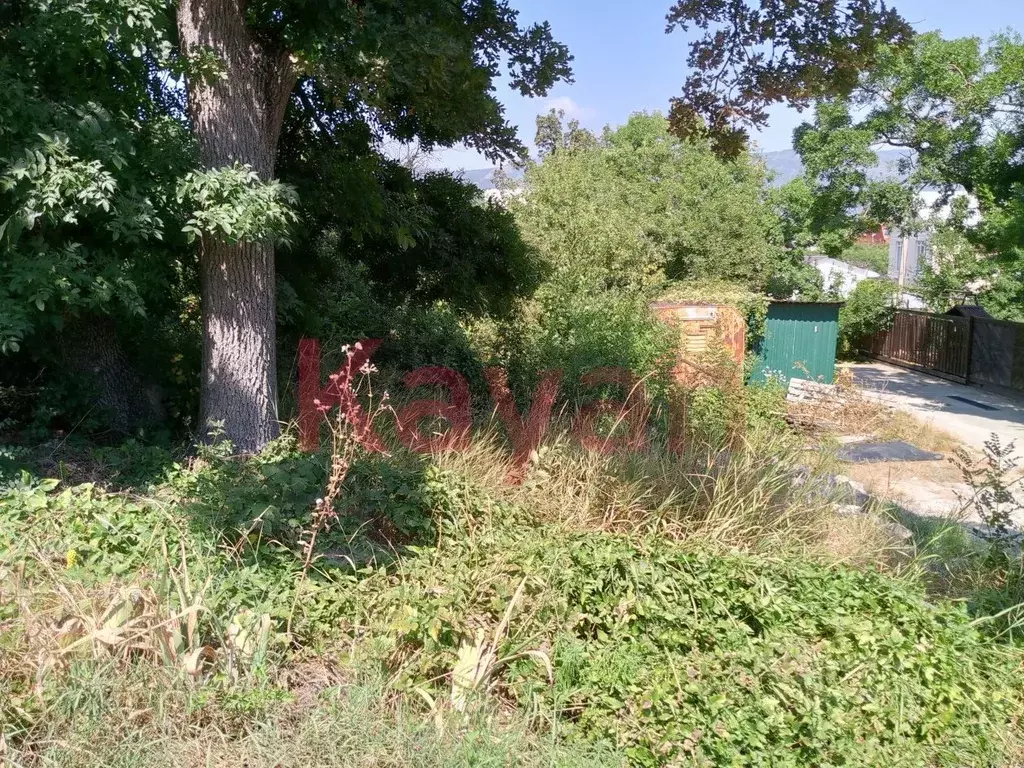 Участок в Краснодарский край, Геленджик Ветеран СНТ, ул. Виноградная, ... - Фото 2