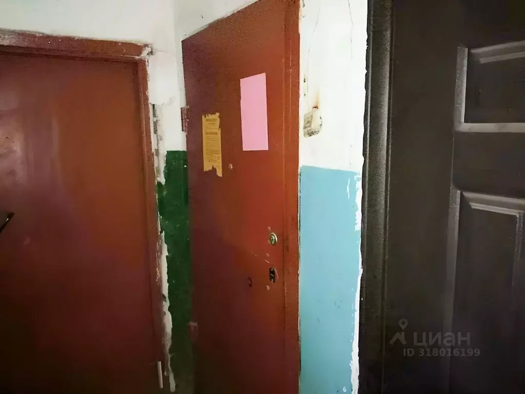 1-к кв. Волгоградская область, Волгоград ул. 2-я Караванная, 11 (33.2 ... - Фото 1